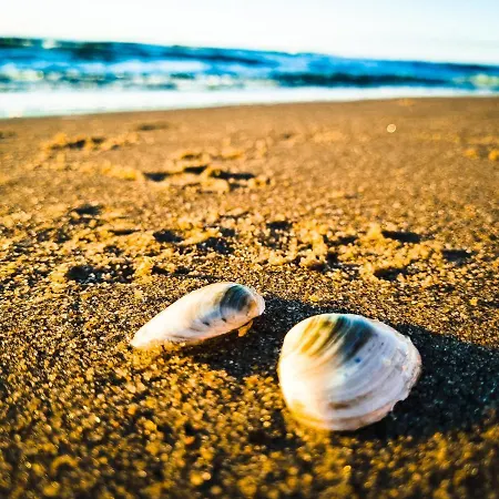 Baltyk 44 Na Wydmach Międzywodzie