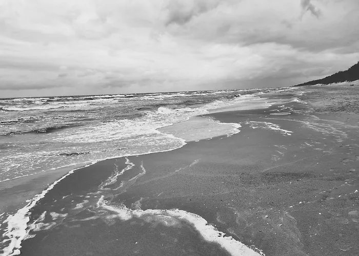 Baltyk 44 Na Wydmach *