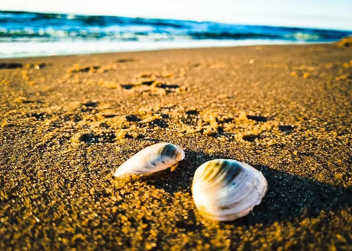 Baltyk 44 Na Wydmach Międzywodzie
